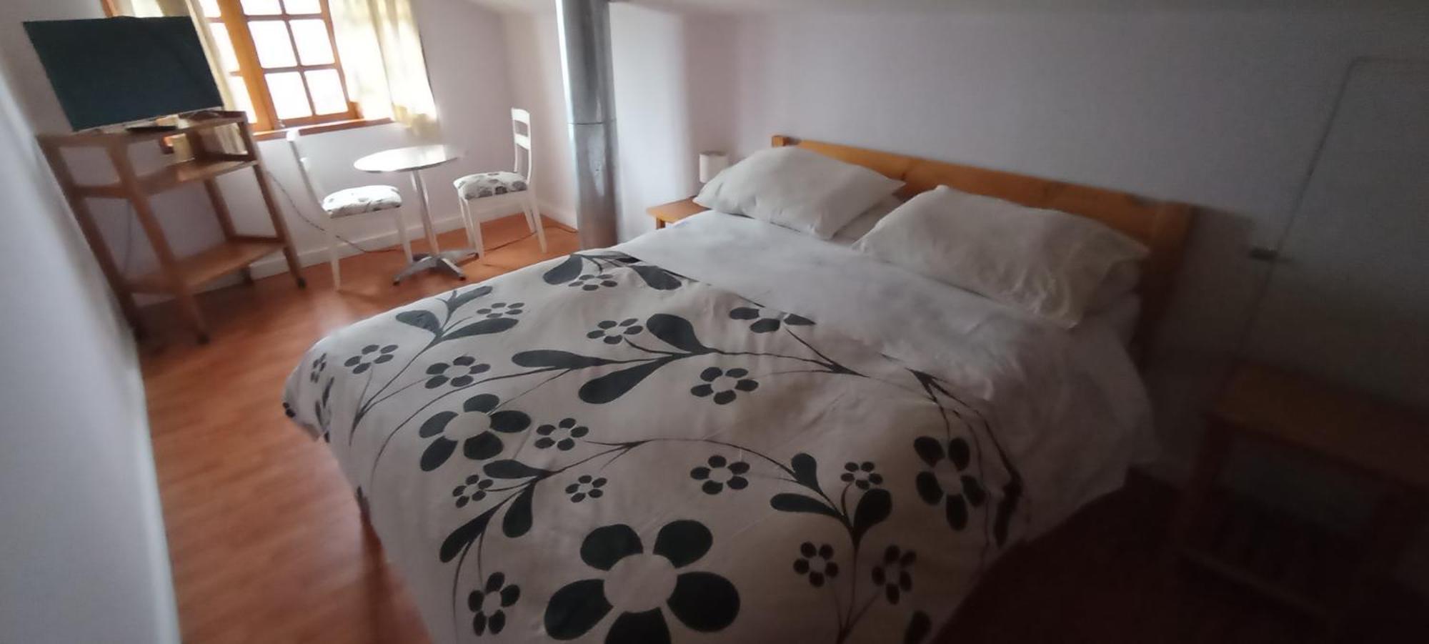 Omi Kika B&B Villarrica Dış mekan fotoğraf