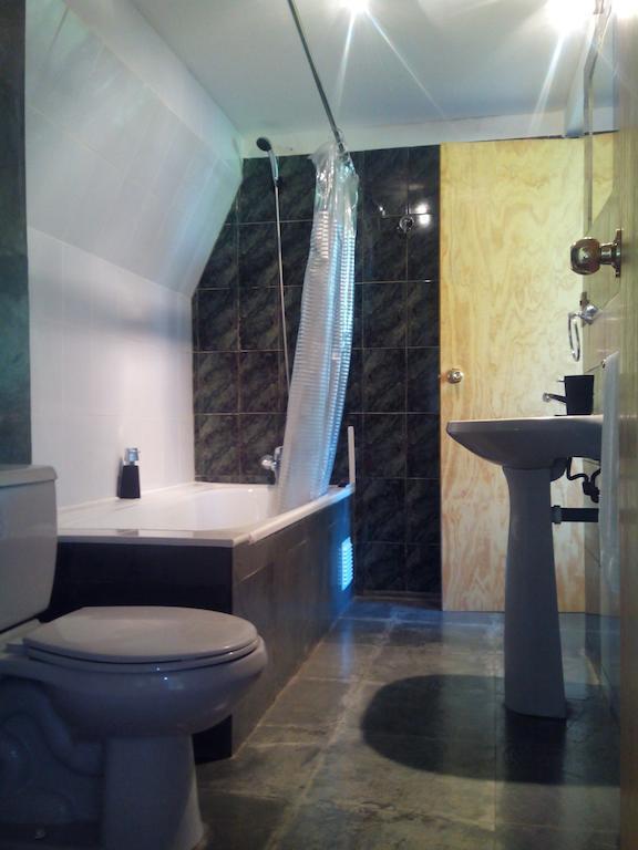 Omi Kika B&B Villarrica Oda fotoğraf