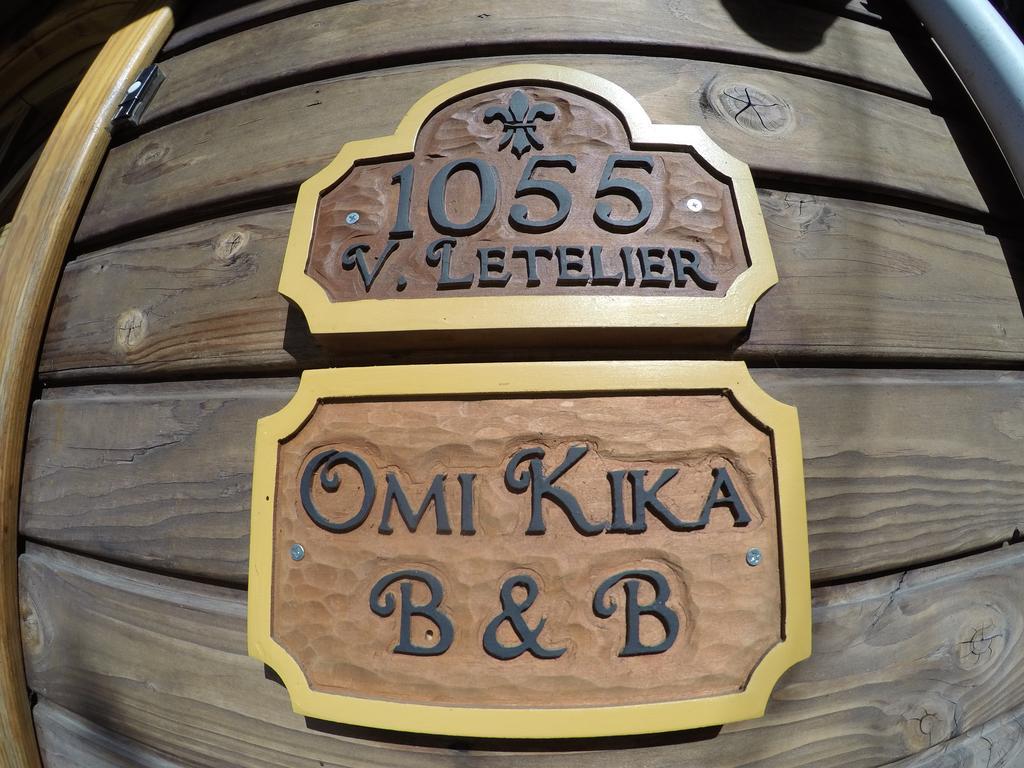 Omi Kika B&B Villarrica Dış mekan fotoğraf