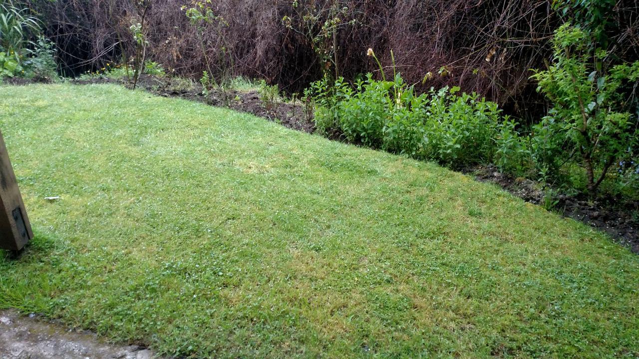 Omi Kika B&B Villarrica Dış mekan fotoğraf