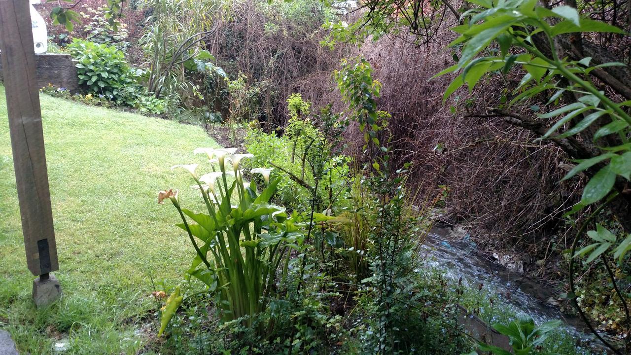 Omi Kika B&B Villarrica Dış mekan fotoğraf