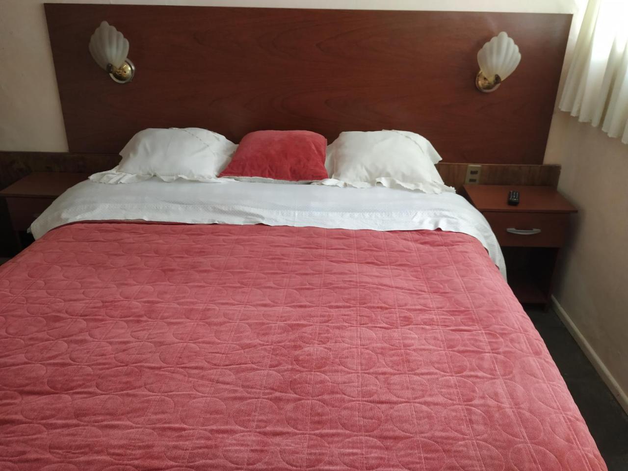 Omi Kika B&B Villarrica Dış mekan fotoğraf