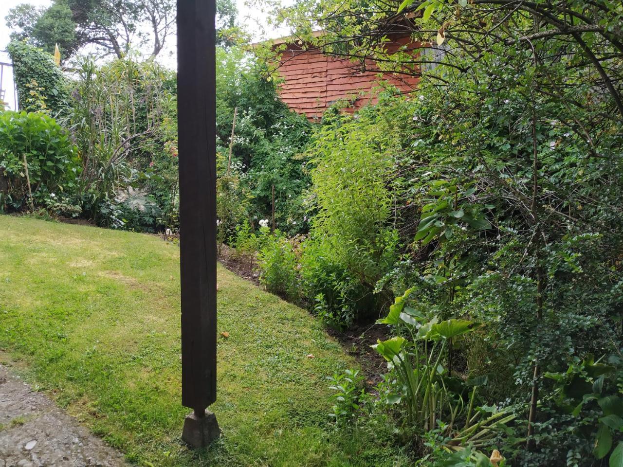 Omi Kika B&B Villarrica Dış mekan fotoğraf