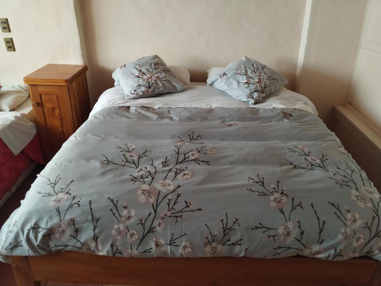 Omi Kika B&B Villarrica Dış mekan fotoğraf